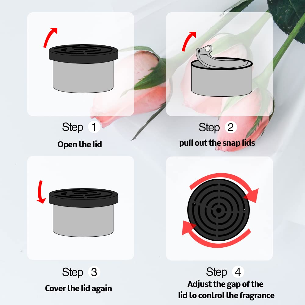 Ambientador para automóvil: ar - Home Fragrance Collection reseña y precio